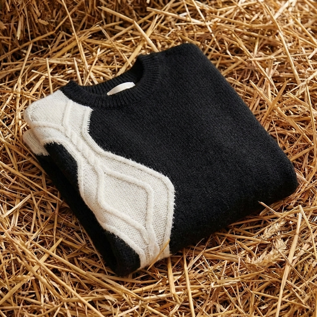 Cotton Crew Neck Sweater with Color-Block Sleeves