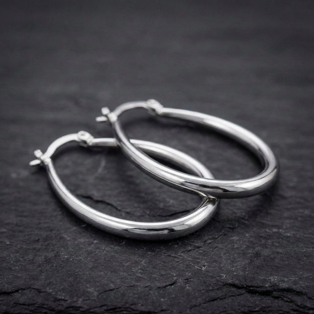 Classic Silver Hoop Earrings 24675566