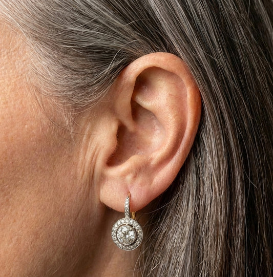 Elegant Crystal Drop Earrings