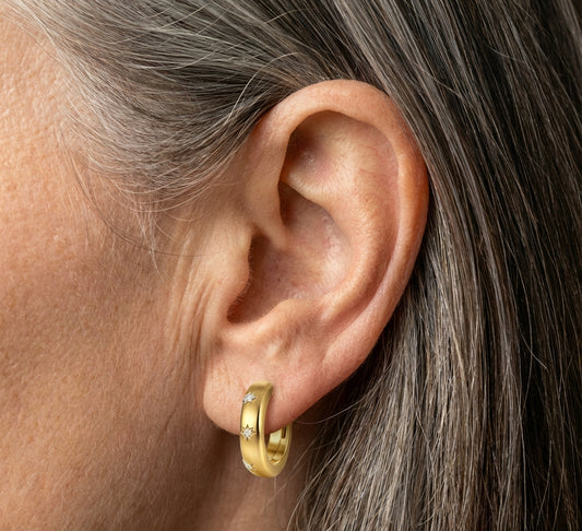 Elegant Star Hug Earrings